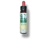 BACHASPEN/ALAMOTEMBLONN2 (Envasede20ml) BACH