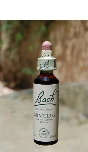 BACHMIMULUS/MIMULON20 (Envasede20ml) BACH