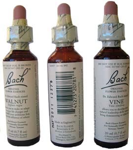 BACHREDCHESTNUT/CASTAOROJON25 (Envasede20ml) BACH