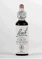 BACHSTAROFBETHLEHEM/LECHEDEGALLINAN29 (Envasede20ml) BACH