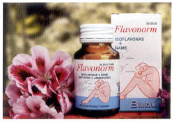 FLAVONORM (Envase de 60 Comprimidos) BELLSOL