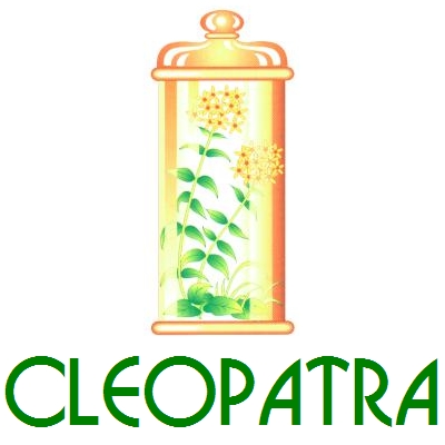 PLACENTASHOCKCAPILAR (Envasede8Cpsulas) CLEOPATRA