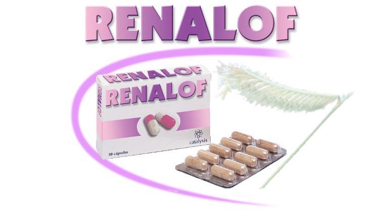 RENALOF(90Cap) (90Cpsulasde325gr) Catalysis