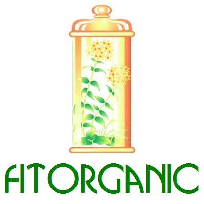 MEMENTIUM (Envasede100Cpsulas) Fitorganic