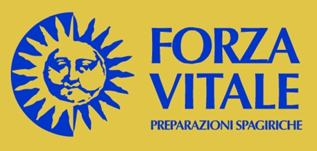 PRIMERAESENCIAPINO (Esenciade10ml) FORZAVITALE