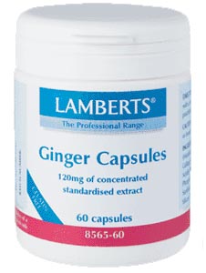 JENGIBRE (60Cpsulasde120mg) Lamberts