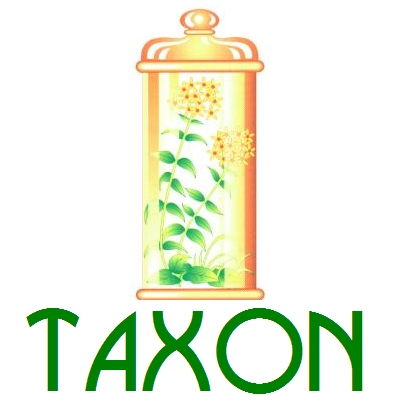 LAXON (Envasede90Comprimidos) TAXON