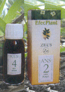 EFECPLANT14 (Envasede60ml) Zeus-ComercialNaturalDerecho